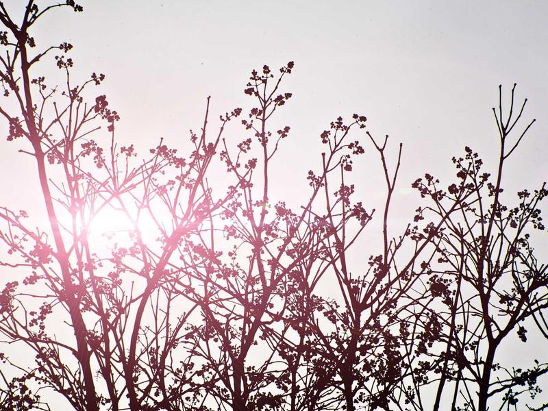 sudoku strategy guide screenshot 5